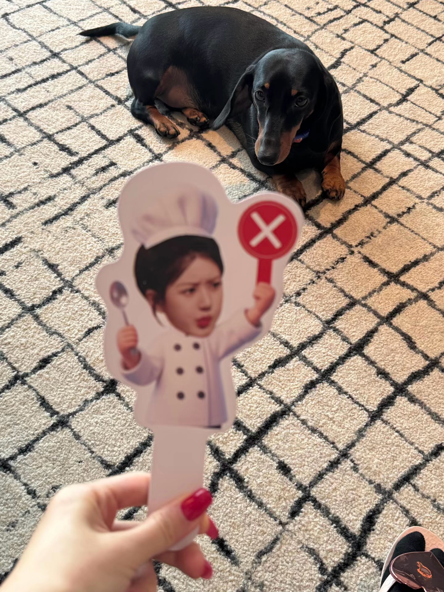 哈哈哈，委屈巴巴的赵露思。 