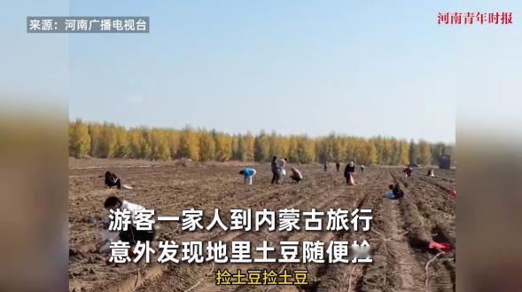 “天上掉馅饼了！”10月3日，内蒙古，一群游客来到当地旅游时，意外发现村民的小土