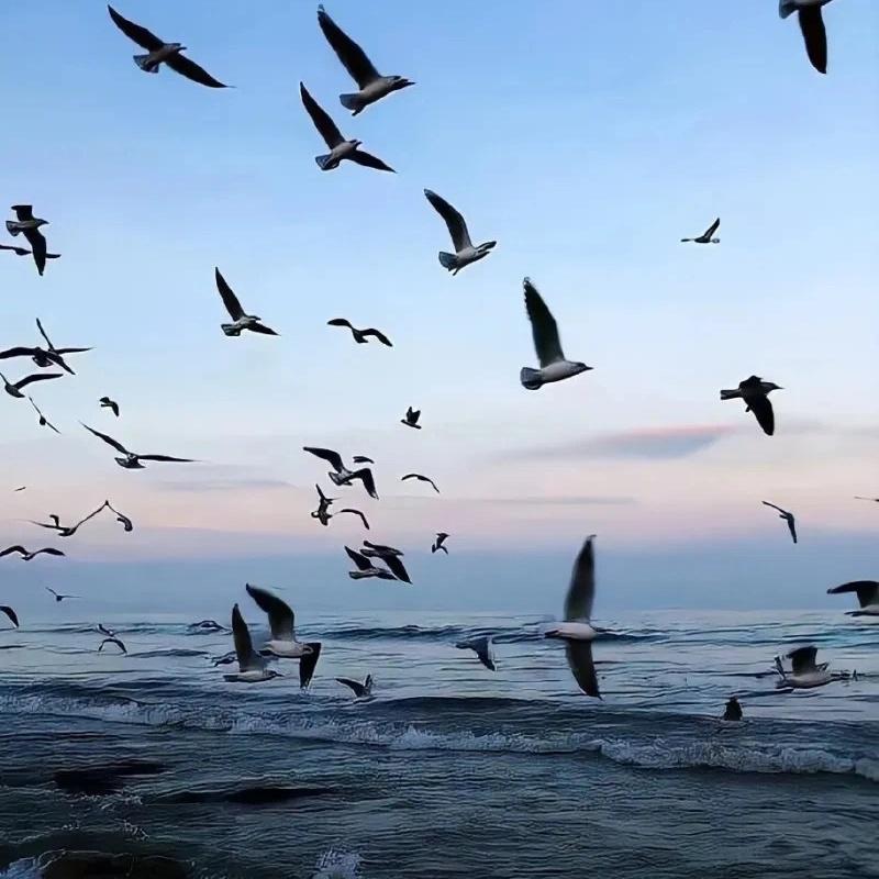 我吧，一无是处！
当娘当不好，当闺女当不好！
不到两米的身高，不到两百斤的体重，