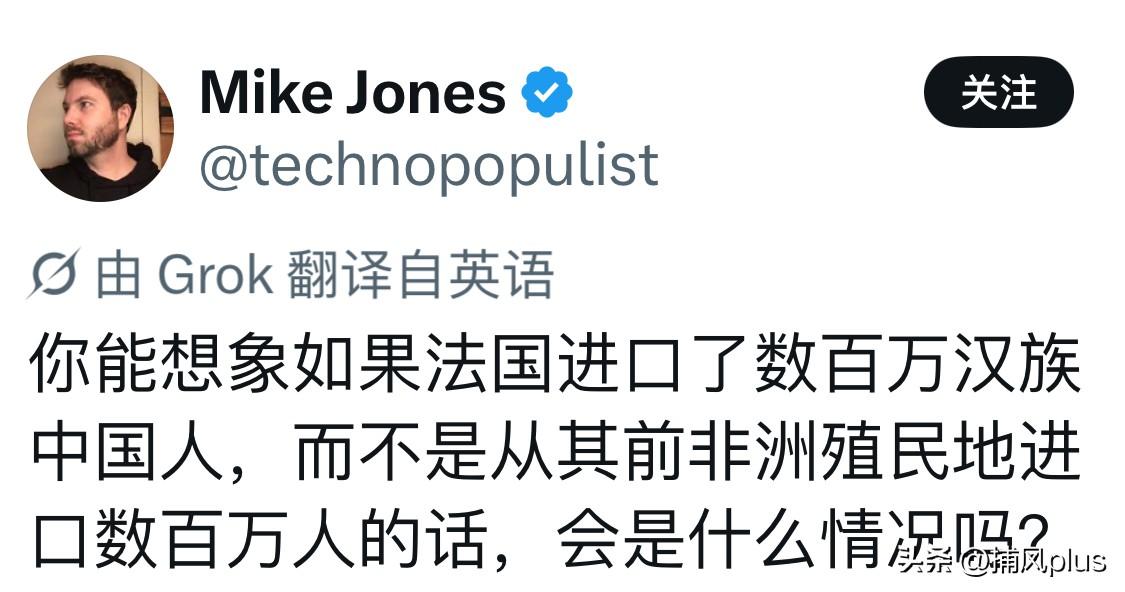 法国发生骚乱之后，有西方人开始反思法国当初为什么没有引进更多中国移民。外国网友发
