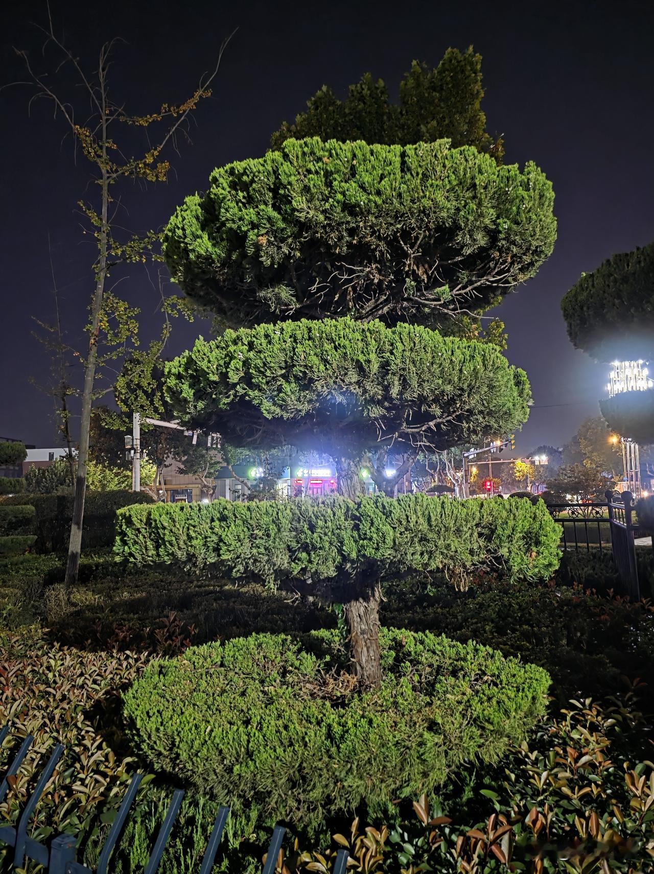 有个粉丝给我留言，告诉我有人说我用AI写作，我这样回复她……

“没错呀，我时常