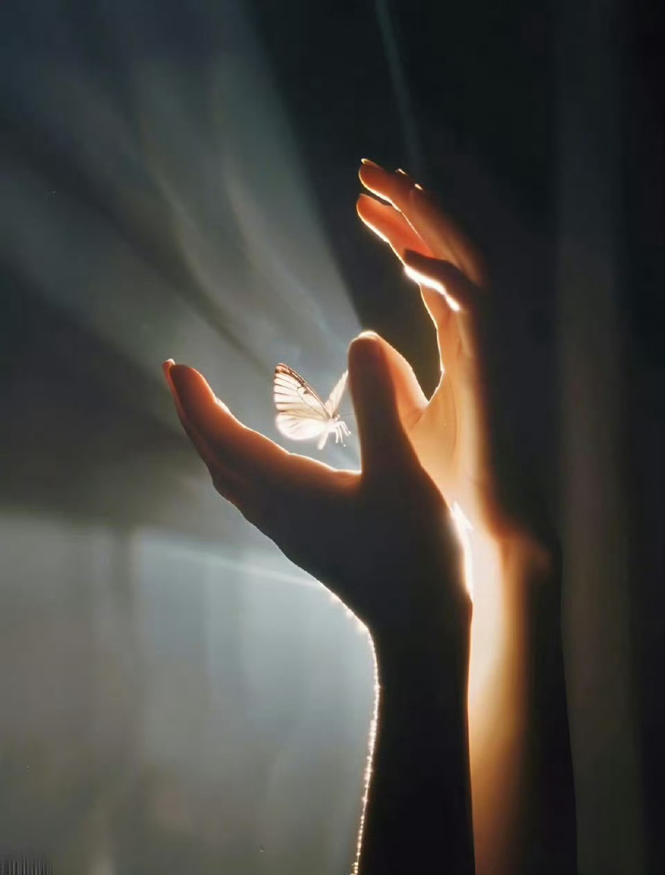一个人身上真正闪耀的东西，是善良、是教养、是包容，是见过世面的涵养。向阳而生，做