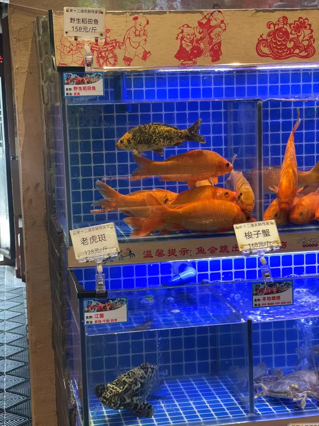 田鱼也是有出息了既然卖的比老虎斑鱼贵  ​​​