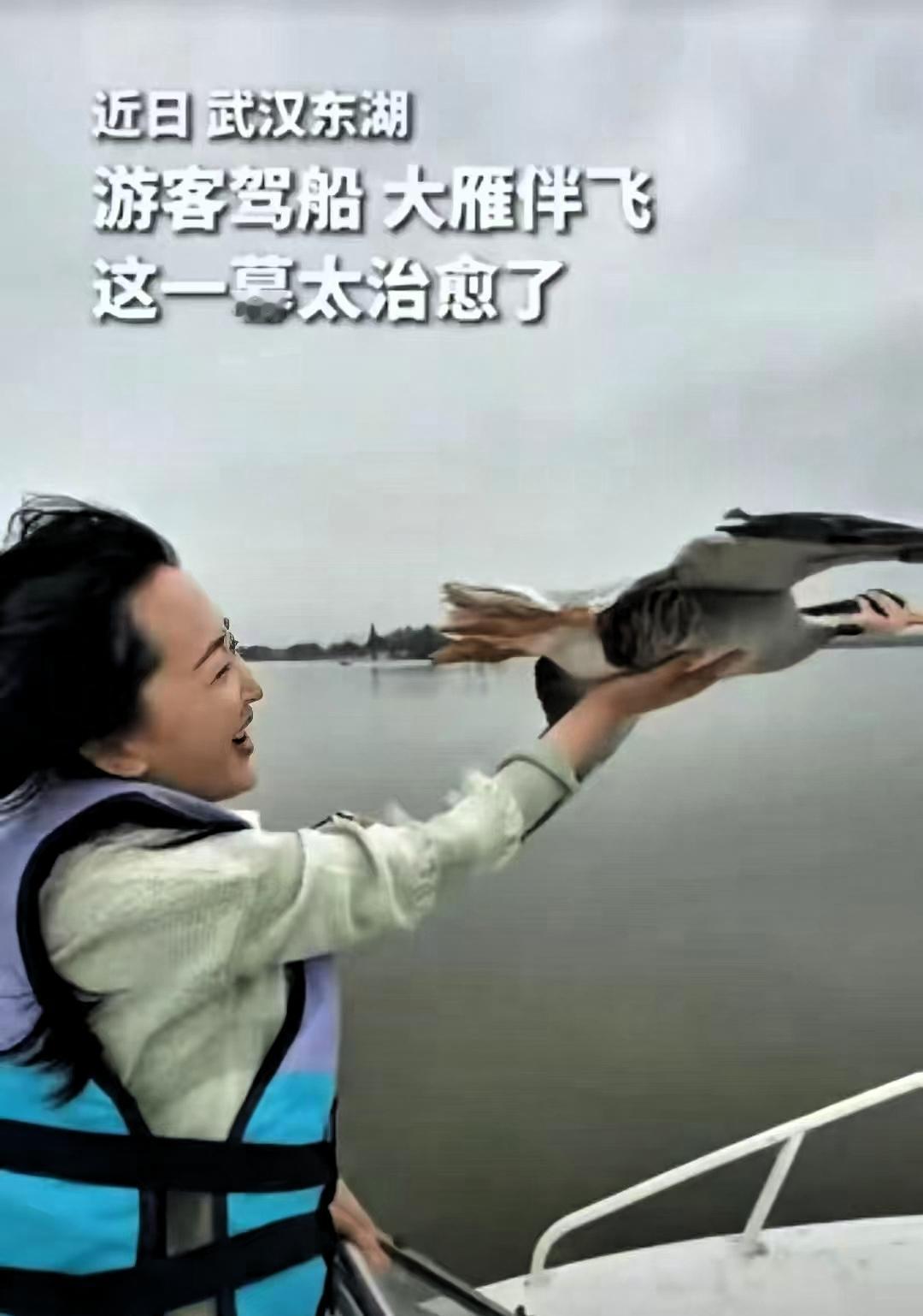 “没想到上人民日报了！”武汉，一女子驾船出海欣赏美景，突然飞来一群大雁和船并肩同