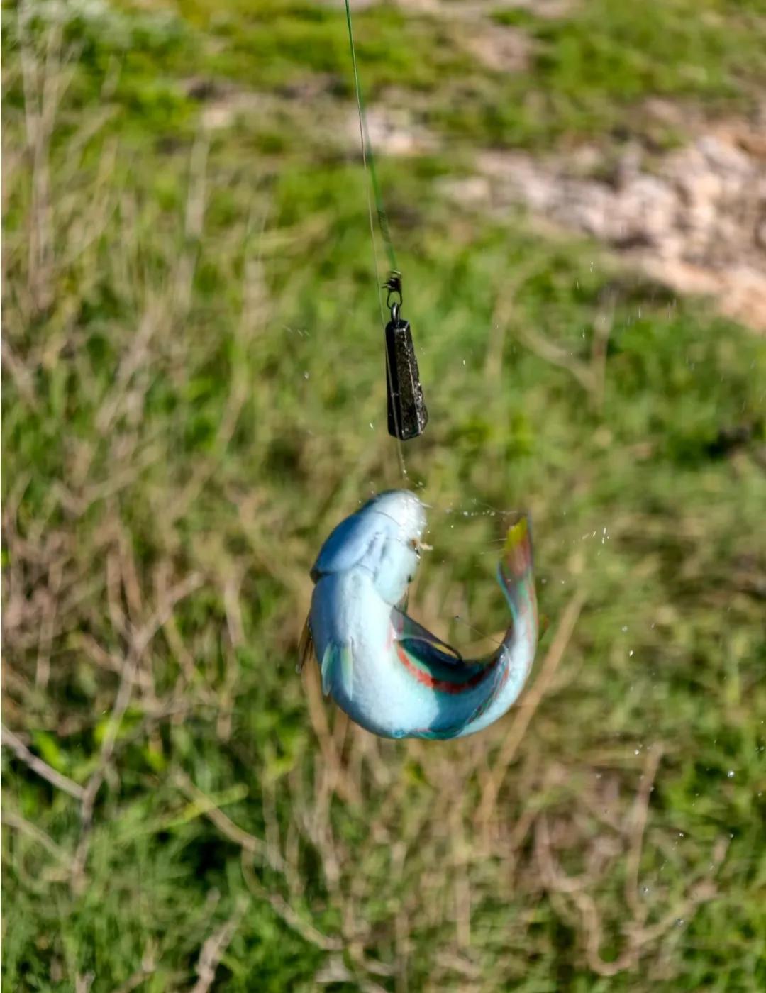 钓了一条奇怪的鱼，从来没见过！这是什么鱼？能吃吗？