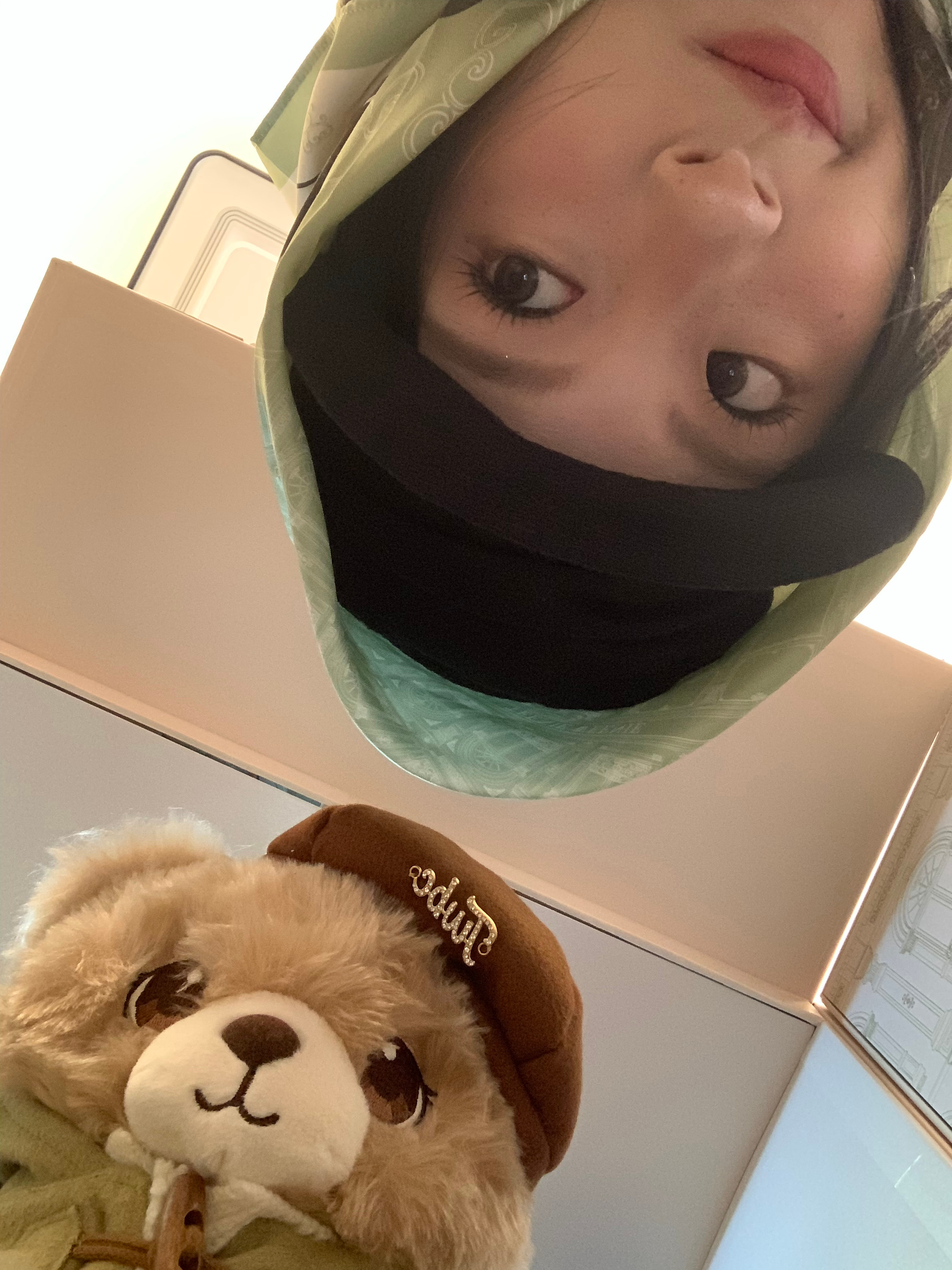 熊塑。 ​​​