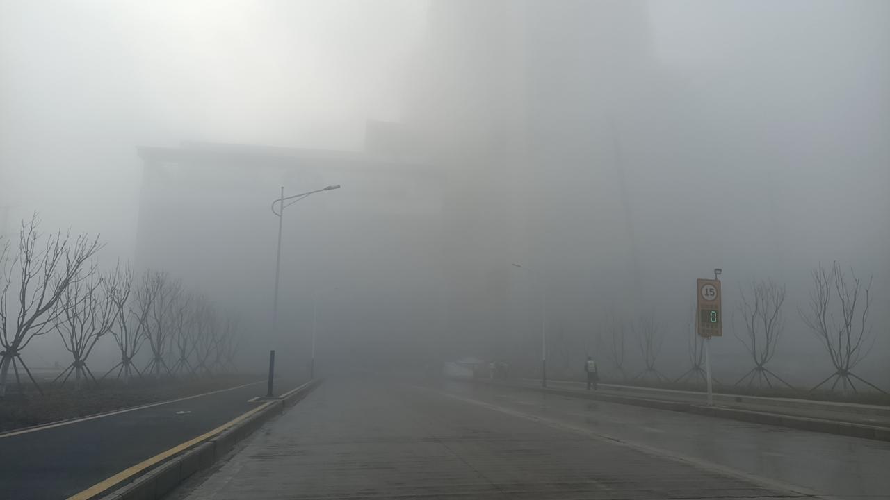 国际合作与援助

加强国际社会的合作，提供人道主义援助，确保基本生活需求如食品、