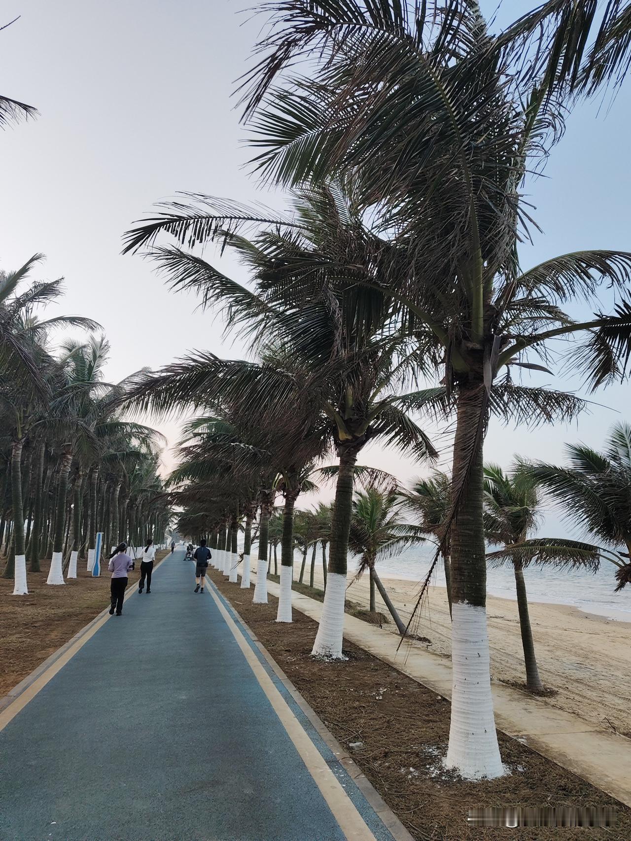 眼辽阔了，心敞亮了，格局就打开了