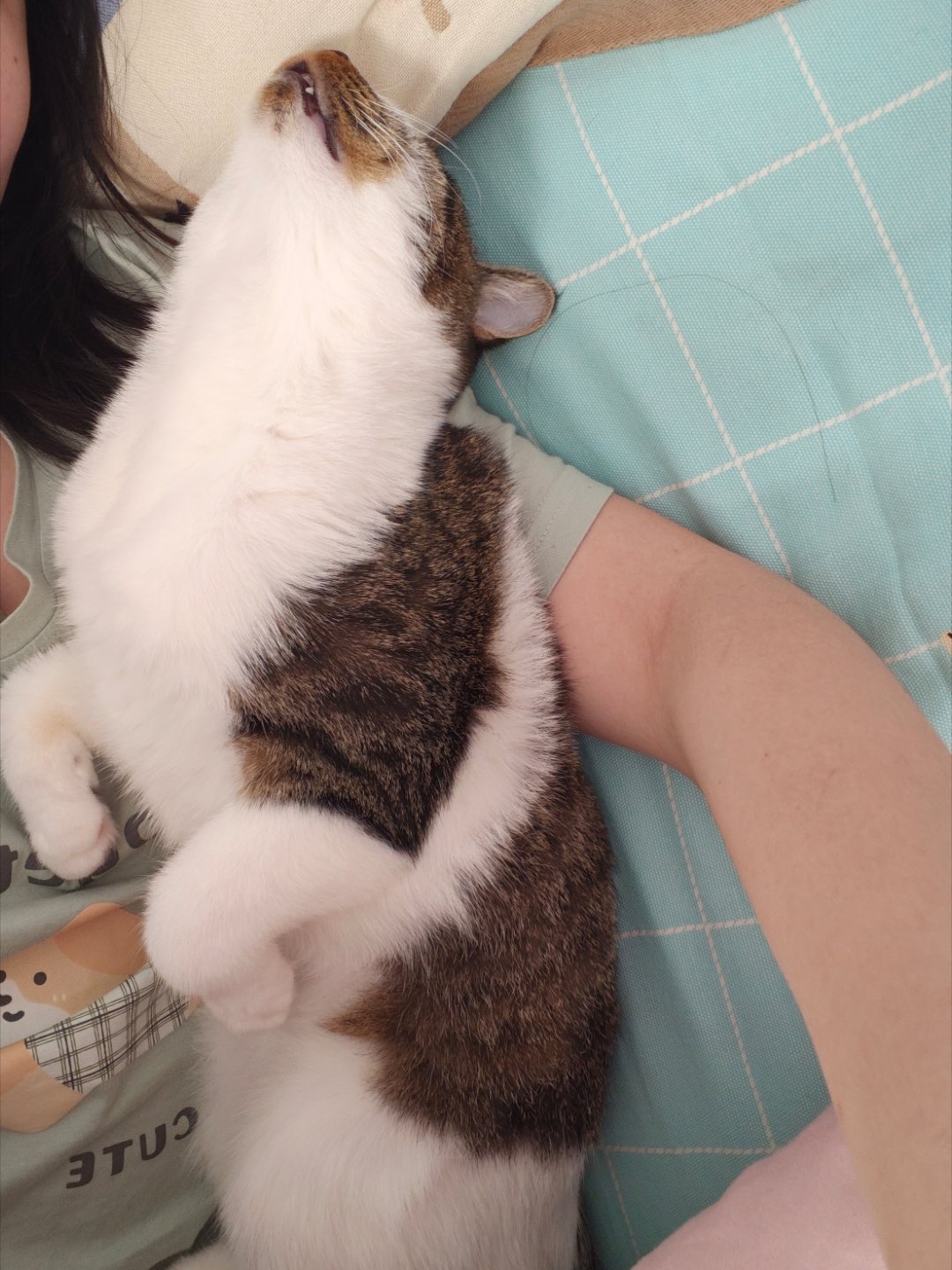 这世贸啊 