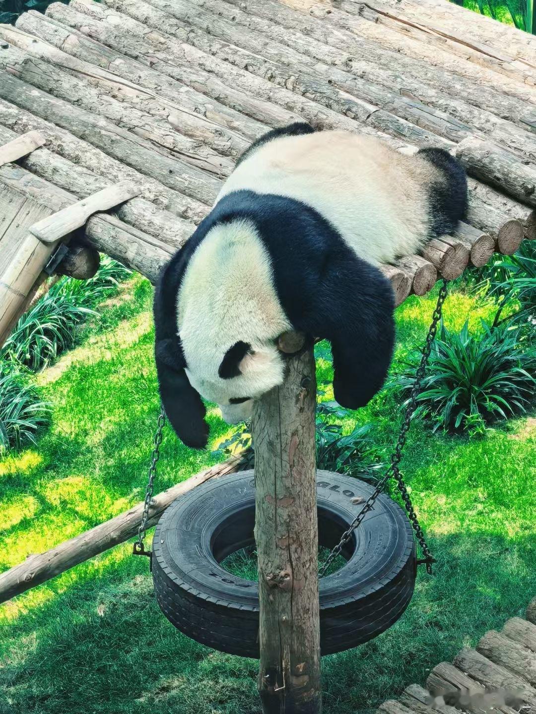 端午节 ​​​