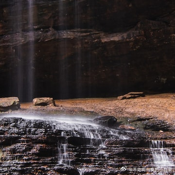每日一善🌹阳光信用成功是行动的结果，不是希望的产物。 - 成功学家尼古拉斯·夏