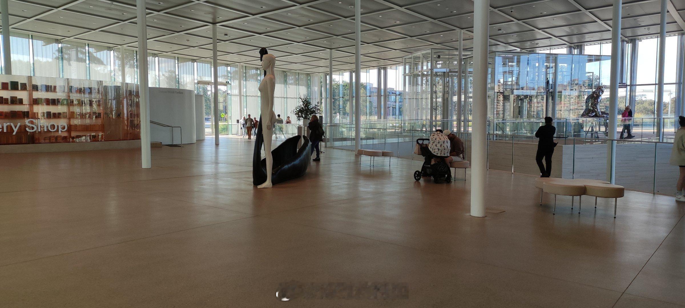 The Art Gallery of NSW 新南威尔士美术馆北馆一进门的地面就