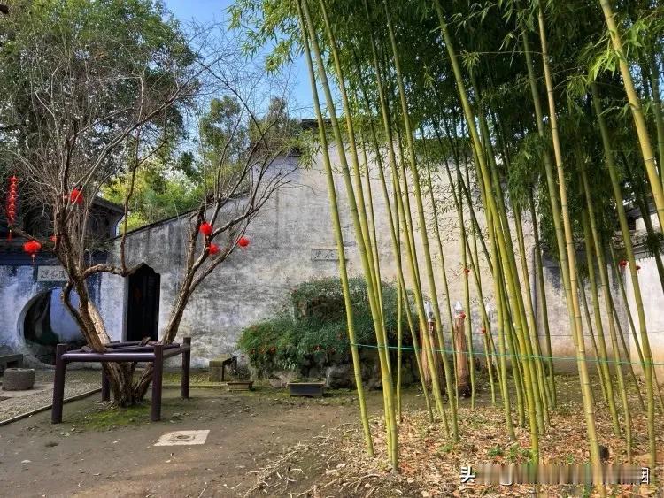 绍兴市最出名的十大人物：

徐渭，字文长，号青藤道士，生活在明朝嘉靖到万历年间的