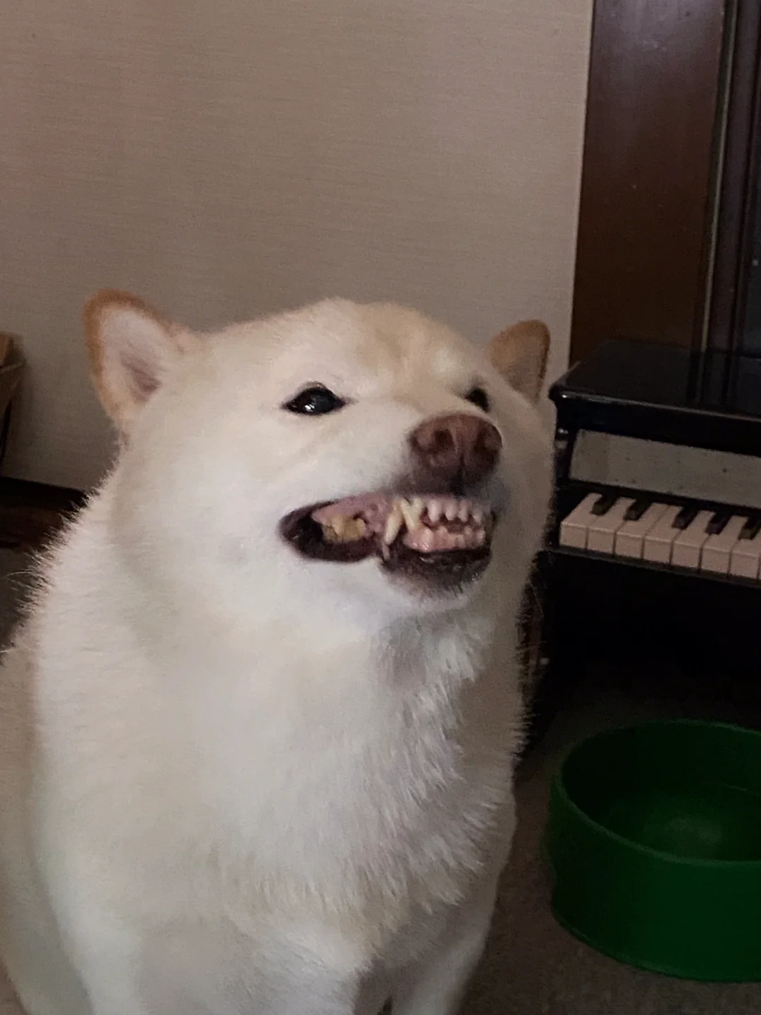 不想练琴