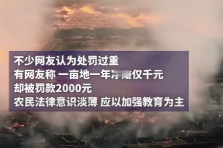 河北定州一位61岁的村民王大爷，在自家责任田里，点了一把火，烧了一些地里的枯草和