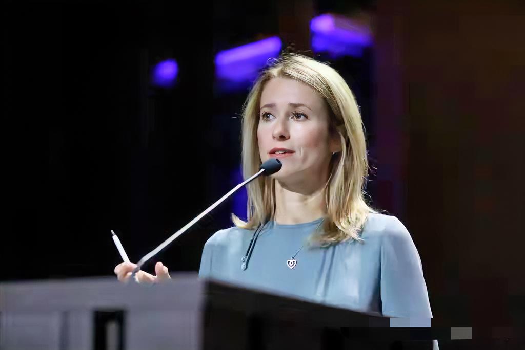 欧盟卡拉斯再发谬论：美欧分裂让中俄很高兴！

北京时间1月18日，欧盟外交与安全