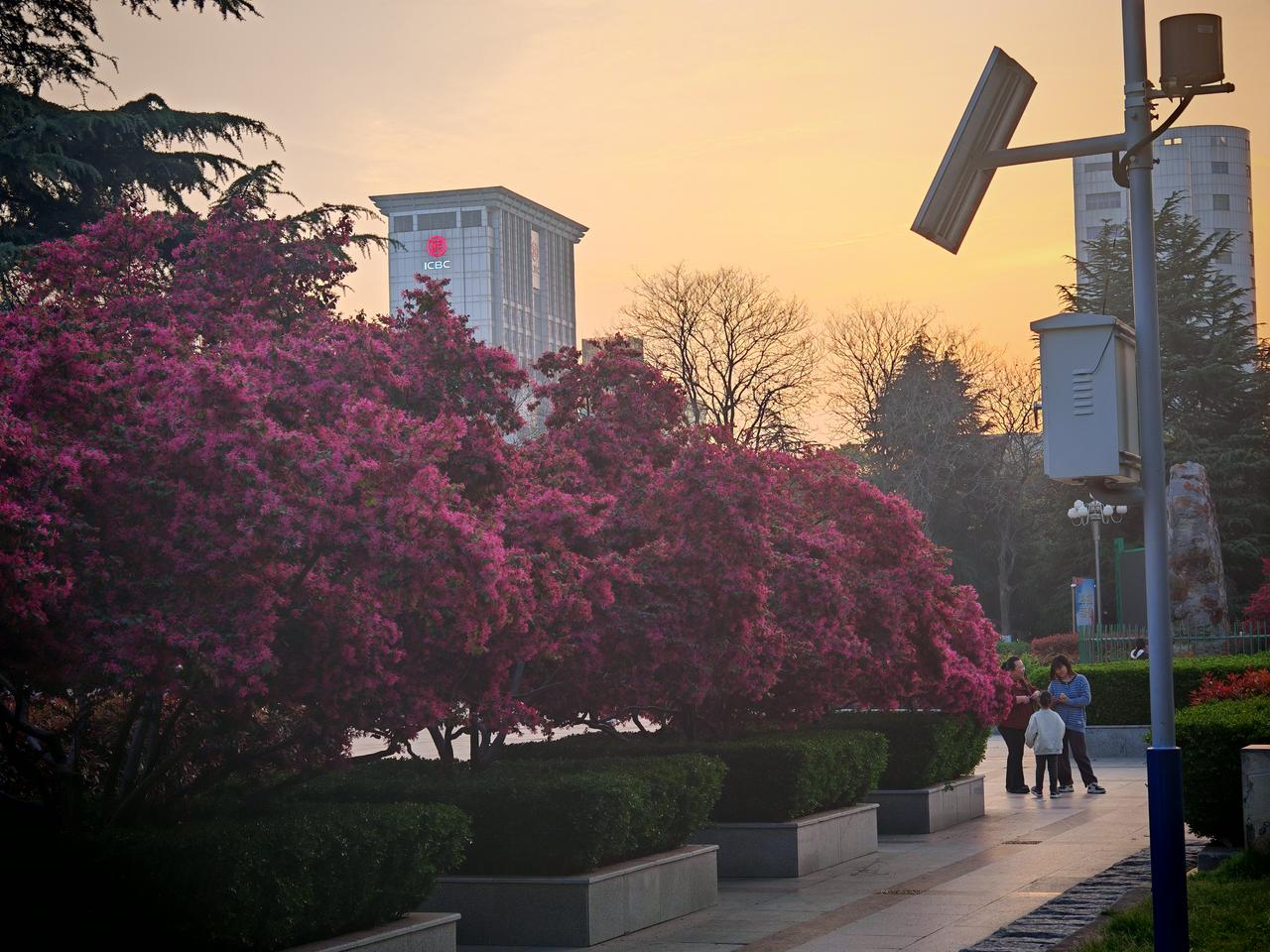 美好时光，莫失莫忘，仙寿恒昌。不离不弃，芳龄永继。