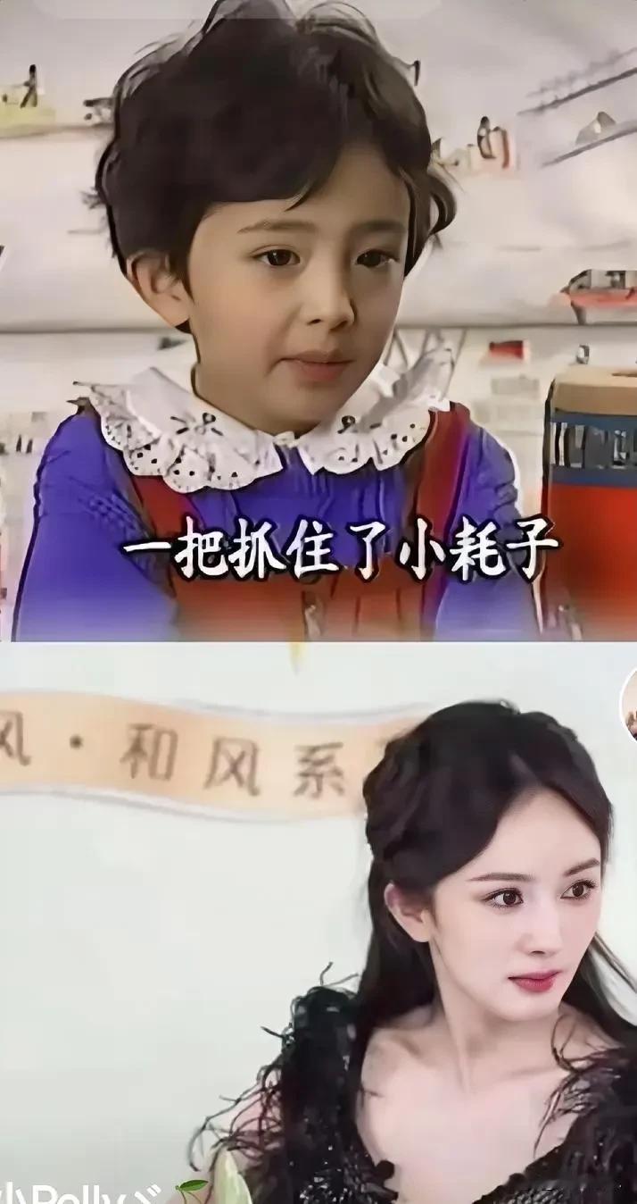 哇，大像了，大像了，小女孩大像杨幂小时候的模样了，鼻子，眼晴，嘴巴，险型那那都一