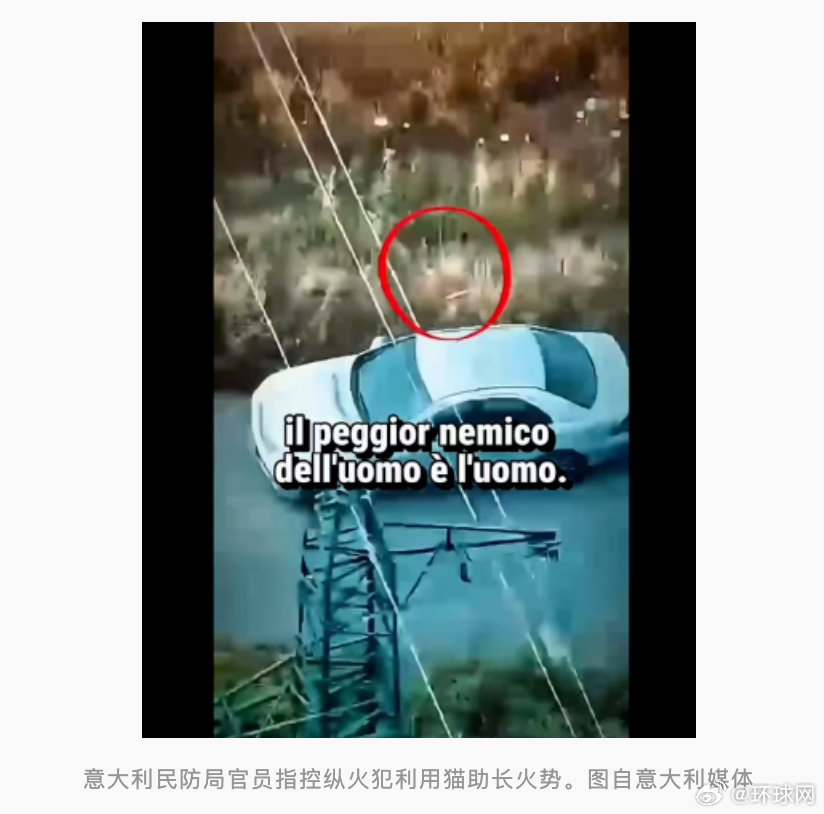 #意大利调查称有人用猫纵火##意大利调查称部分野火是人为纵火#【意大利野火仍未被