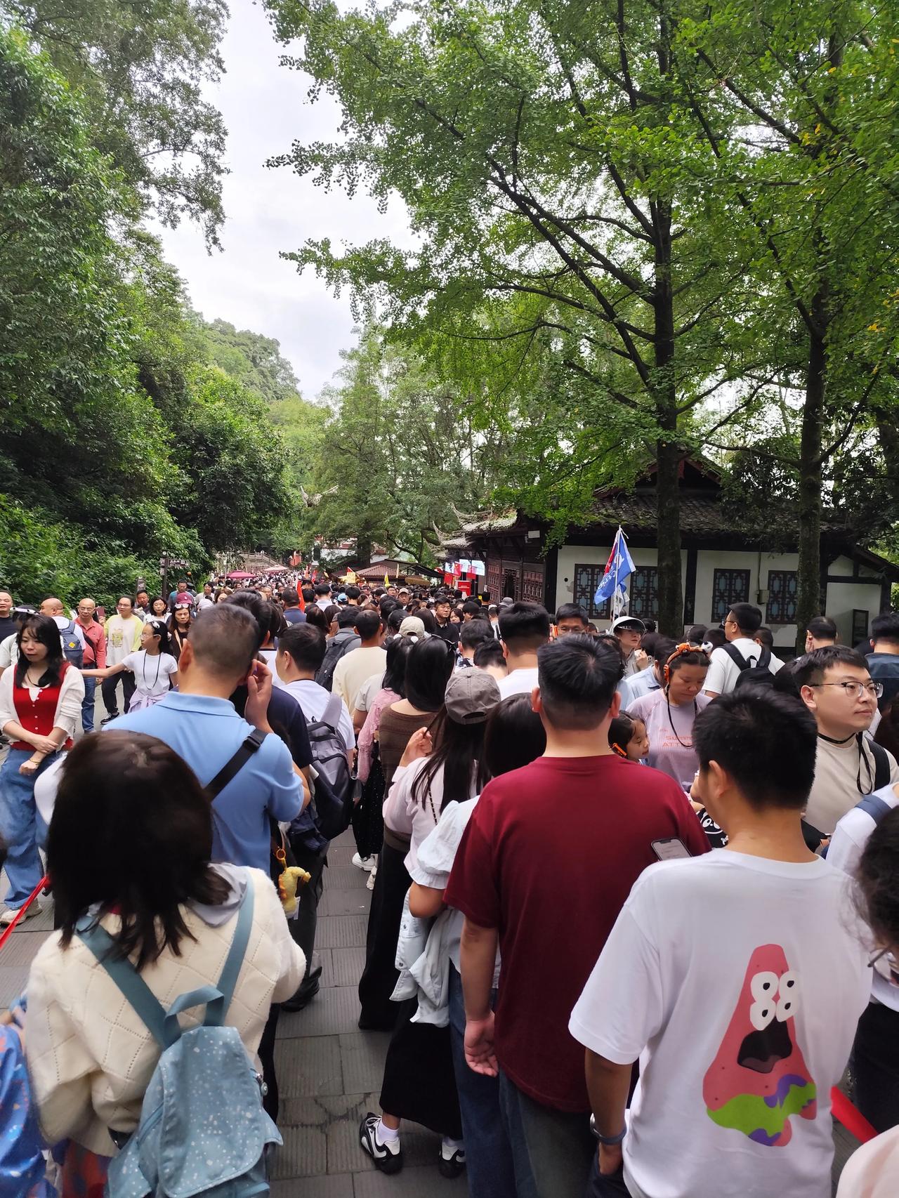 李冰治水，名扬天下。
而今游众，熙攘扫码。
