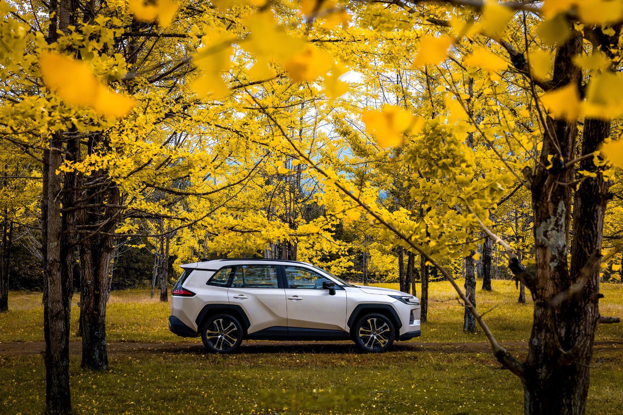 14万级全新威兰达到店同样14万元左右的预算，全新换代威兰达综合能力是要比某些同