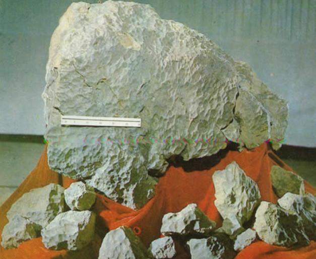 1976年3月中国降下三颗超大陨石，毛主席得知后为何让身边工作人员搀扶他到窗前？