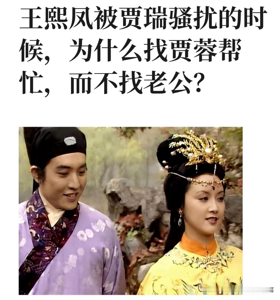 中王熙凤收拾贾瑞，为啥宁肯找贾蓉叔侄，也不找老公贾琏？
 
咱先掰扯掰扯凤姐的小