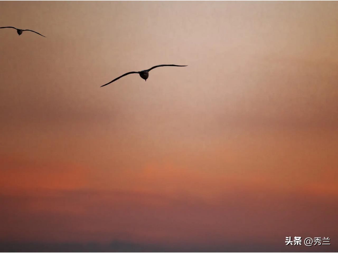 快来看看我新换的主页背景吧