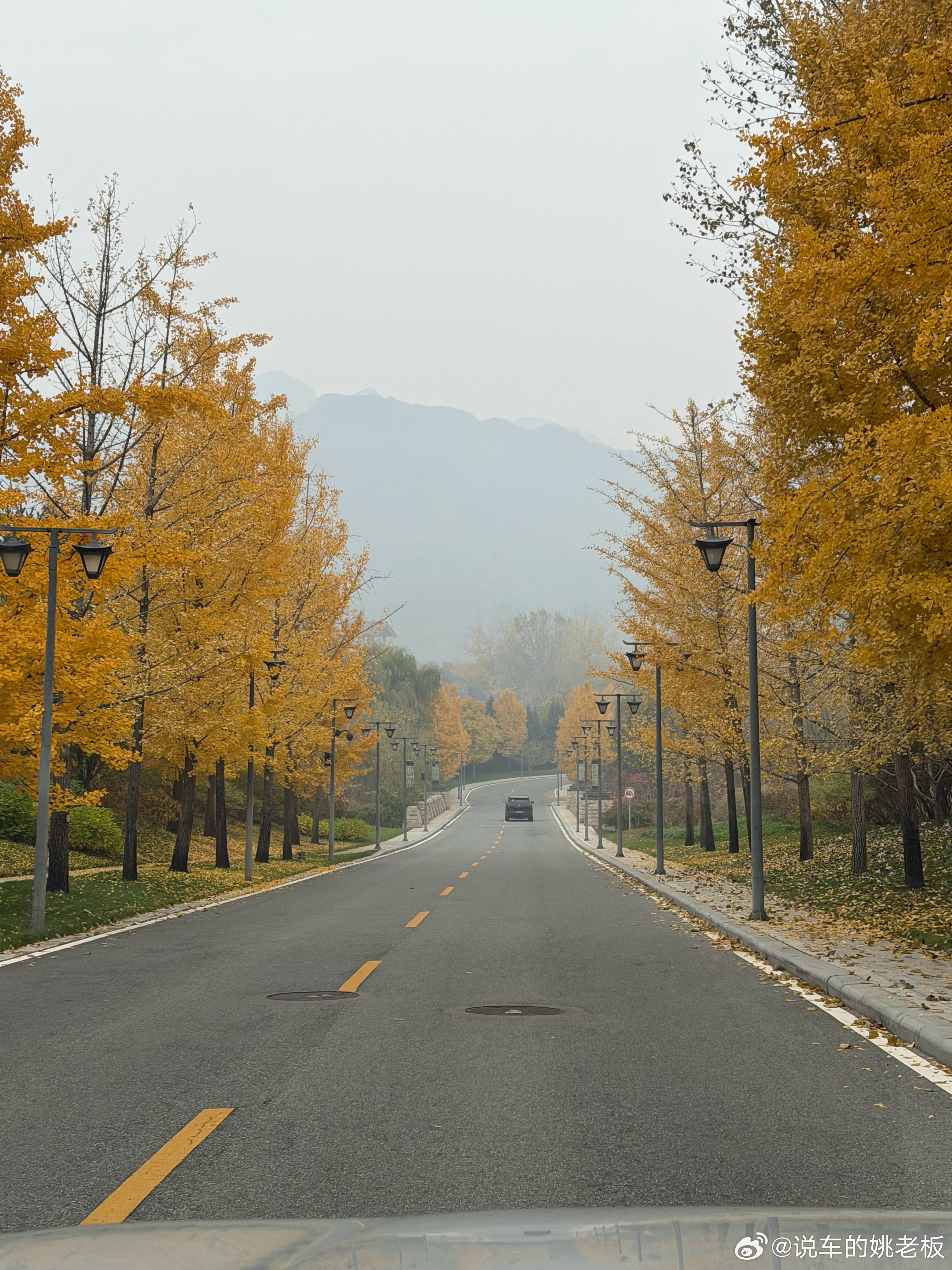 无滤镜的 北京秋天真美[可怜]跟姚老板混一天吃9顿[超话] ​​​