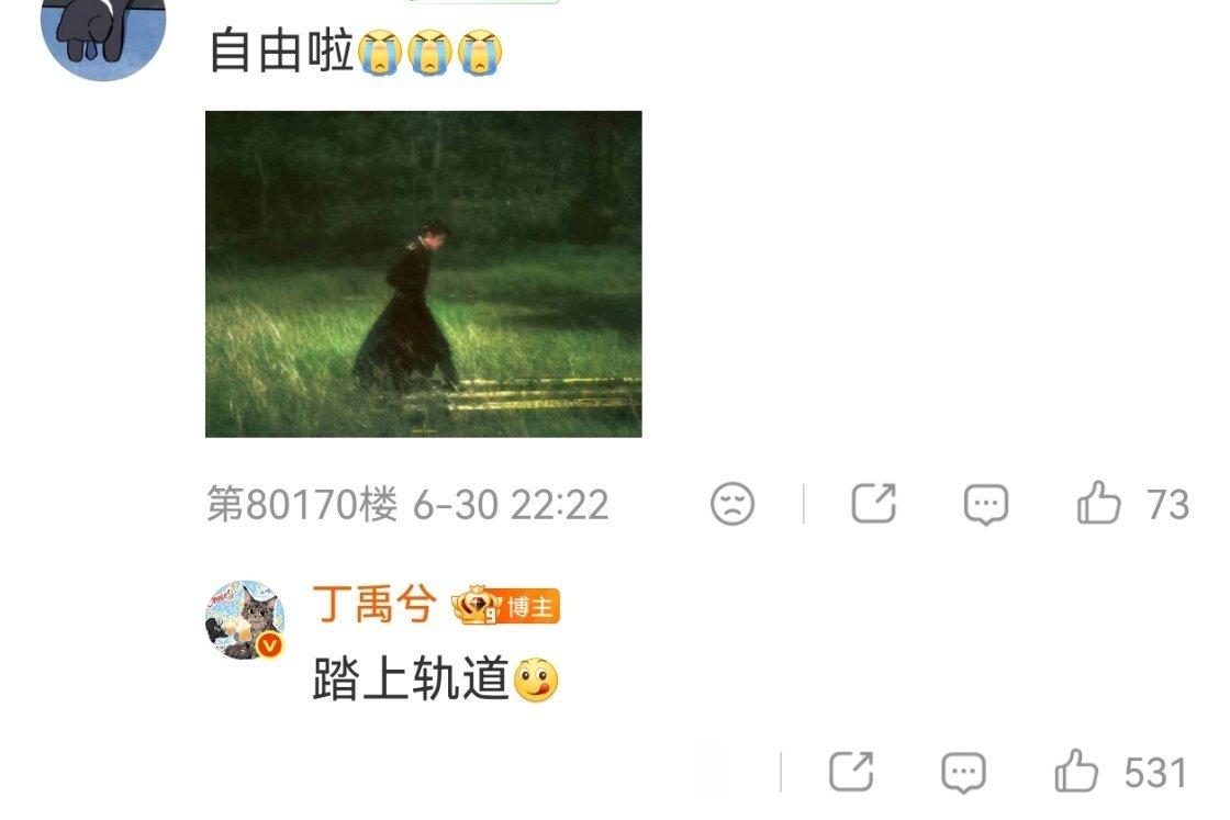 海侠，故事的最后，他希望你是自由的，幸福的你。只是你。 