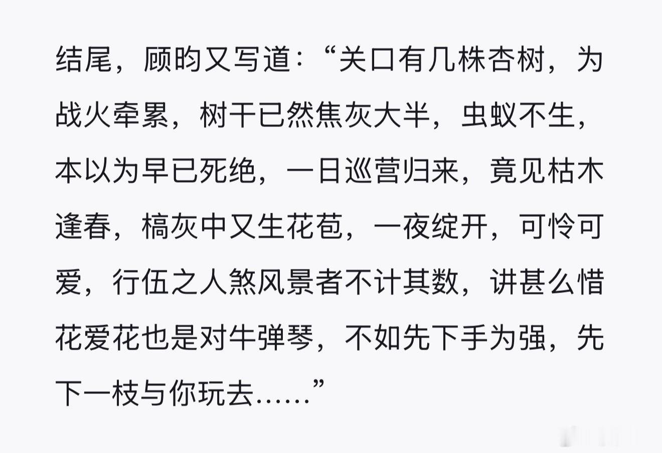 西北一枝杏花得遇良人枯木逢春……