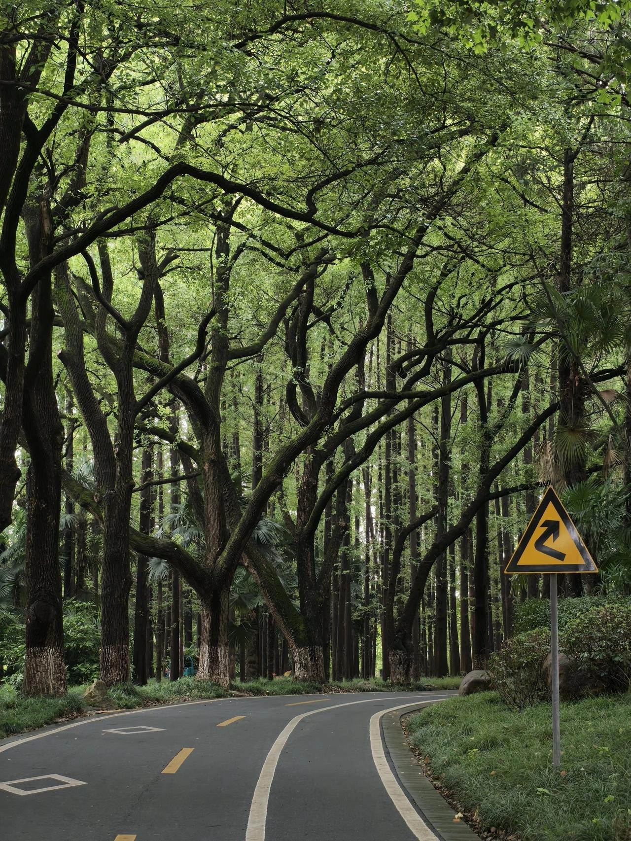 我是真的才知道
8月31日前，马鞍山采石矶居然免门票
掐指一算，上一次来这里，已