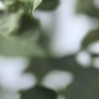 与人为善，于己为善；与人有路，于己有退。他人有过不究，于人有恩莫念，爱人先爱己，