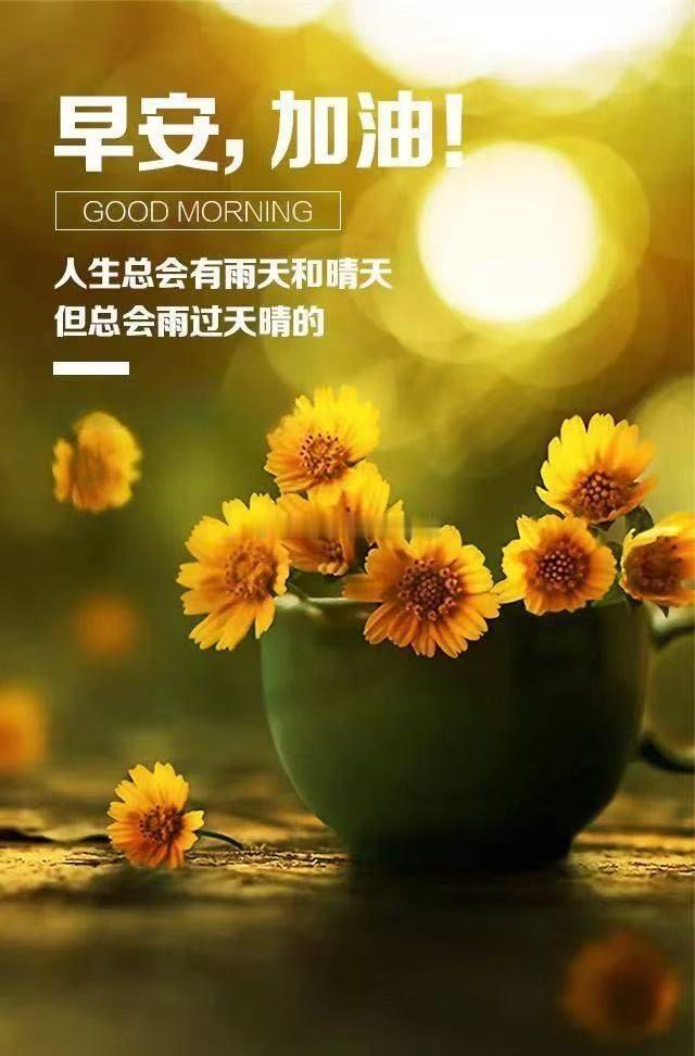周三、早每一个清晨，记得鼓励自己。没有奇迹，只有你努力的轨迹；没有运气，只有你坚