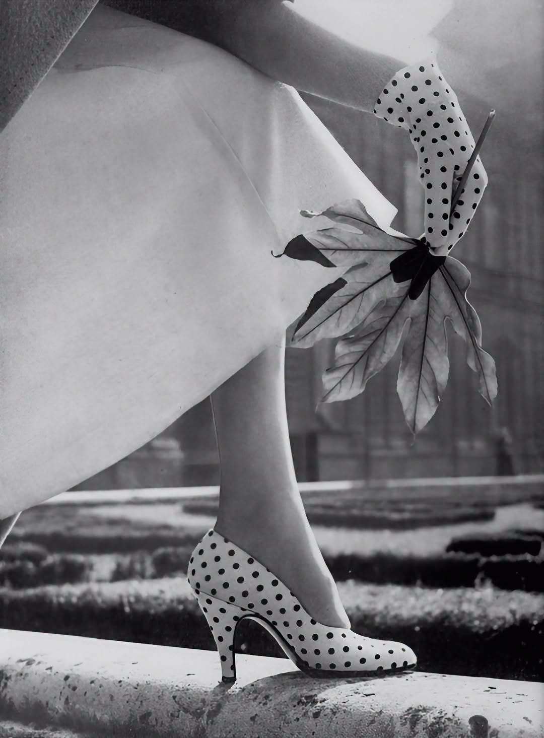 Vogue，1954 ​​​