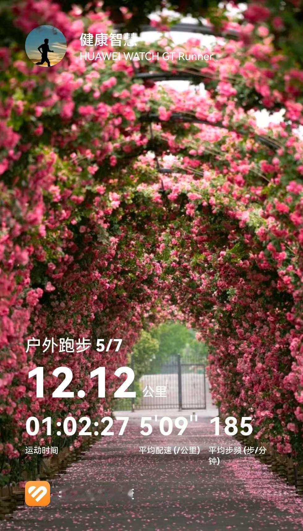 跑跑写写——马拉松一般人能跑下来吗？

马拉松一般人能跑下来吗?普通人到底能不能