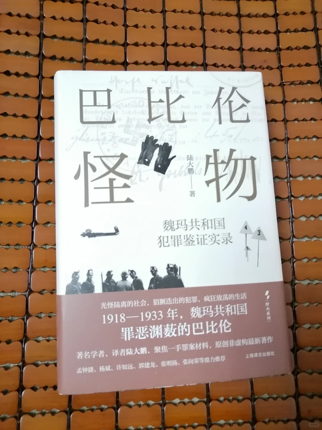 探寻魏玛德国的黑暗面