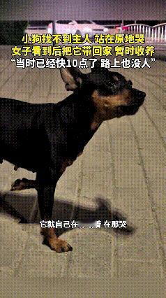 夜黑都快十点了，街上冷冷清清没啥人。
小姐姐出门溜达，瞅见一只小狗孤零零蹲路边委