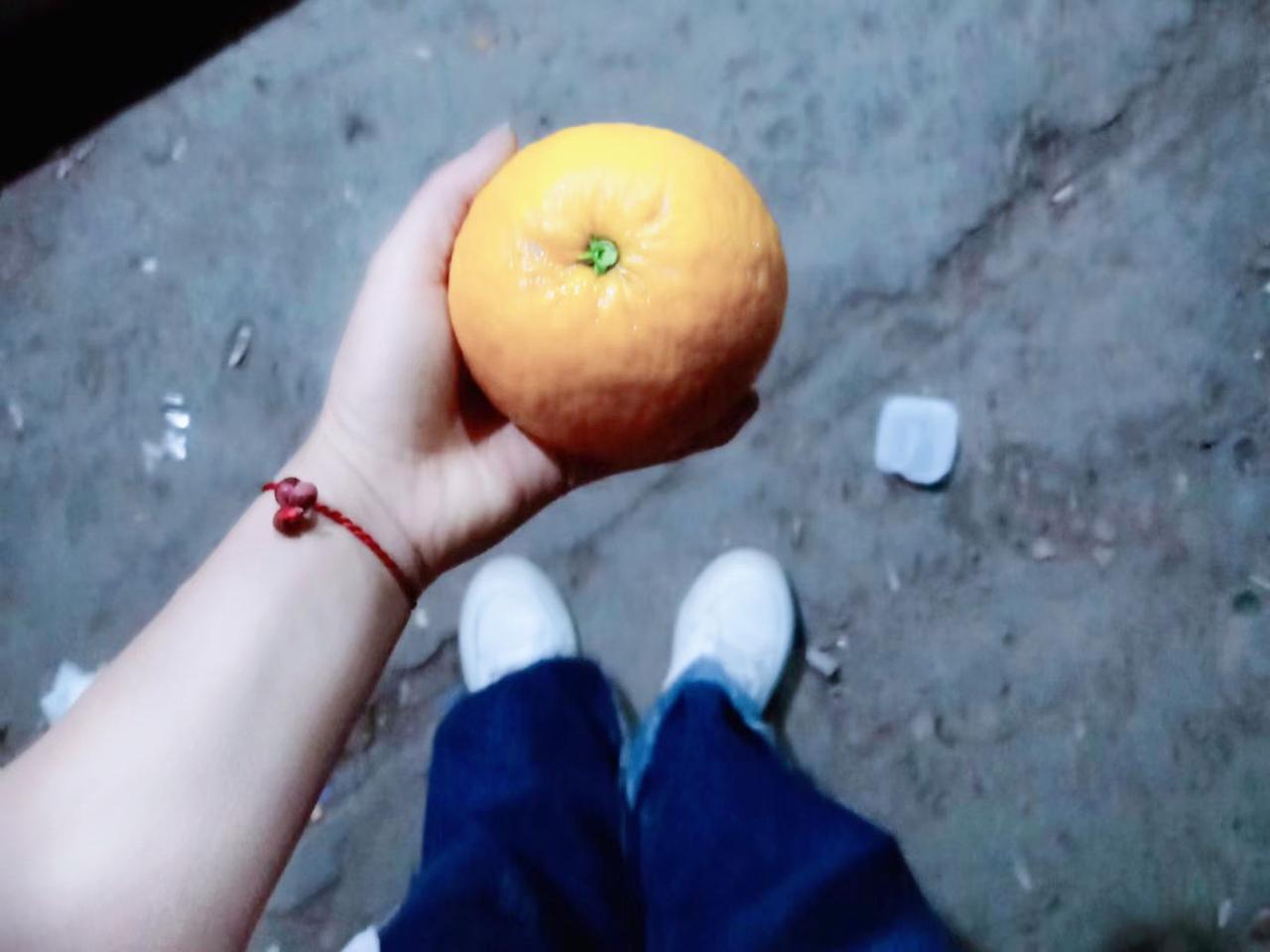 去青见之乡为兄庆寿。晚归，沿路果树累累，馋心顿起，停车，摘几个。忽闻远处有狗吠叫