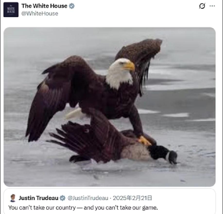 白宫发图:痛击加拿大鹅！

昨天，美国队在米兰冬奥会上2比1战胜加拿大队，获得冬