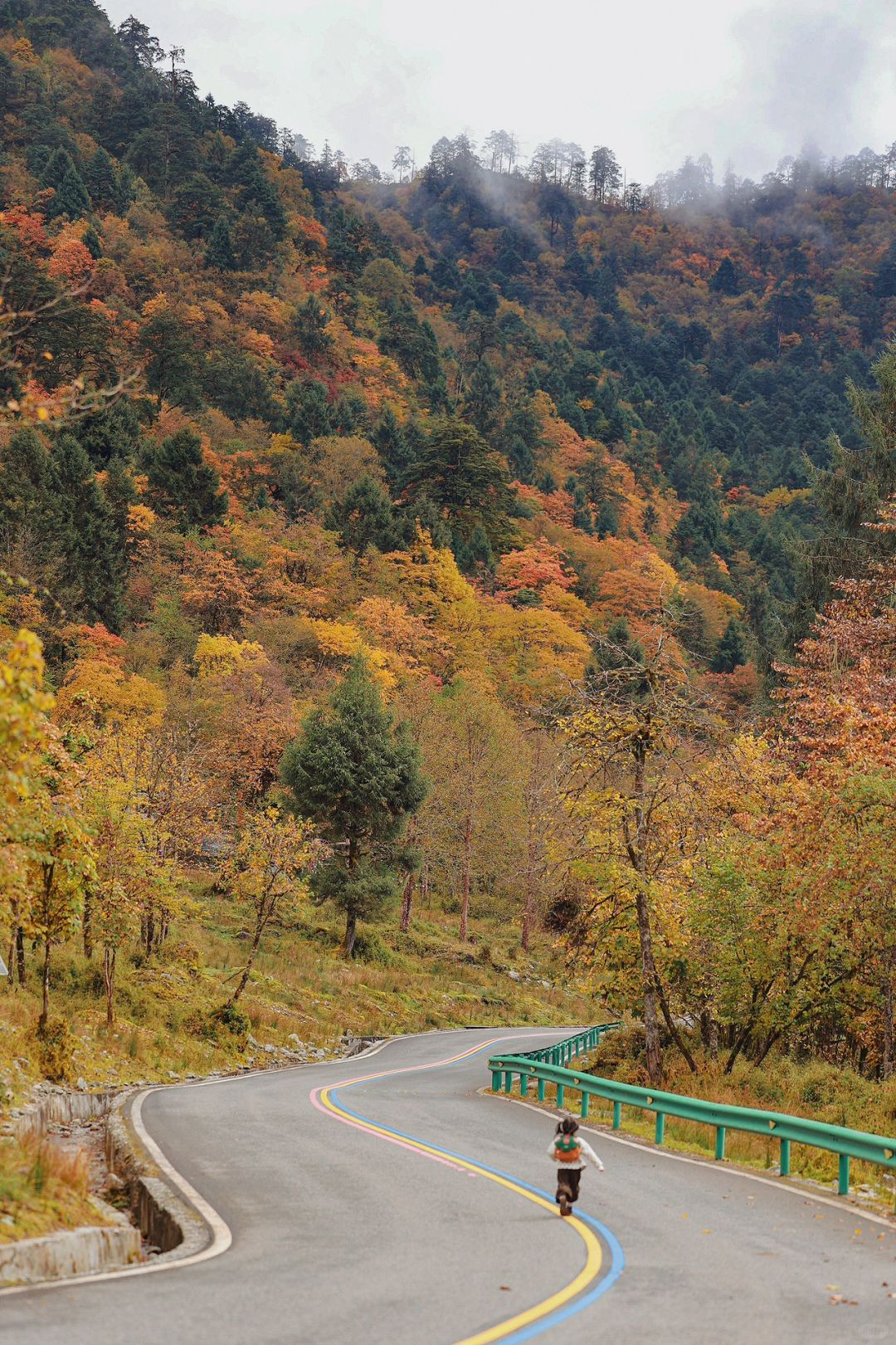 成都周边🍂｜喇叭河的秋天好像五彩的调色盘～