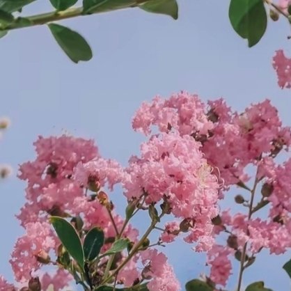 每日一善每日一善 用心生活，终会被生活温柔以待。所有认真付出的时光，所有默默坚守
