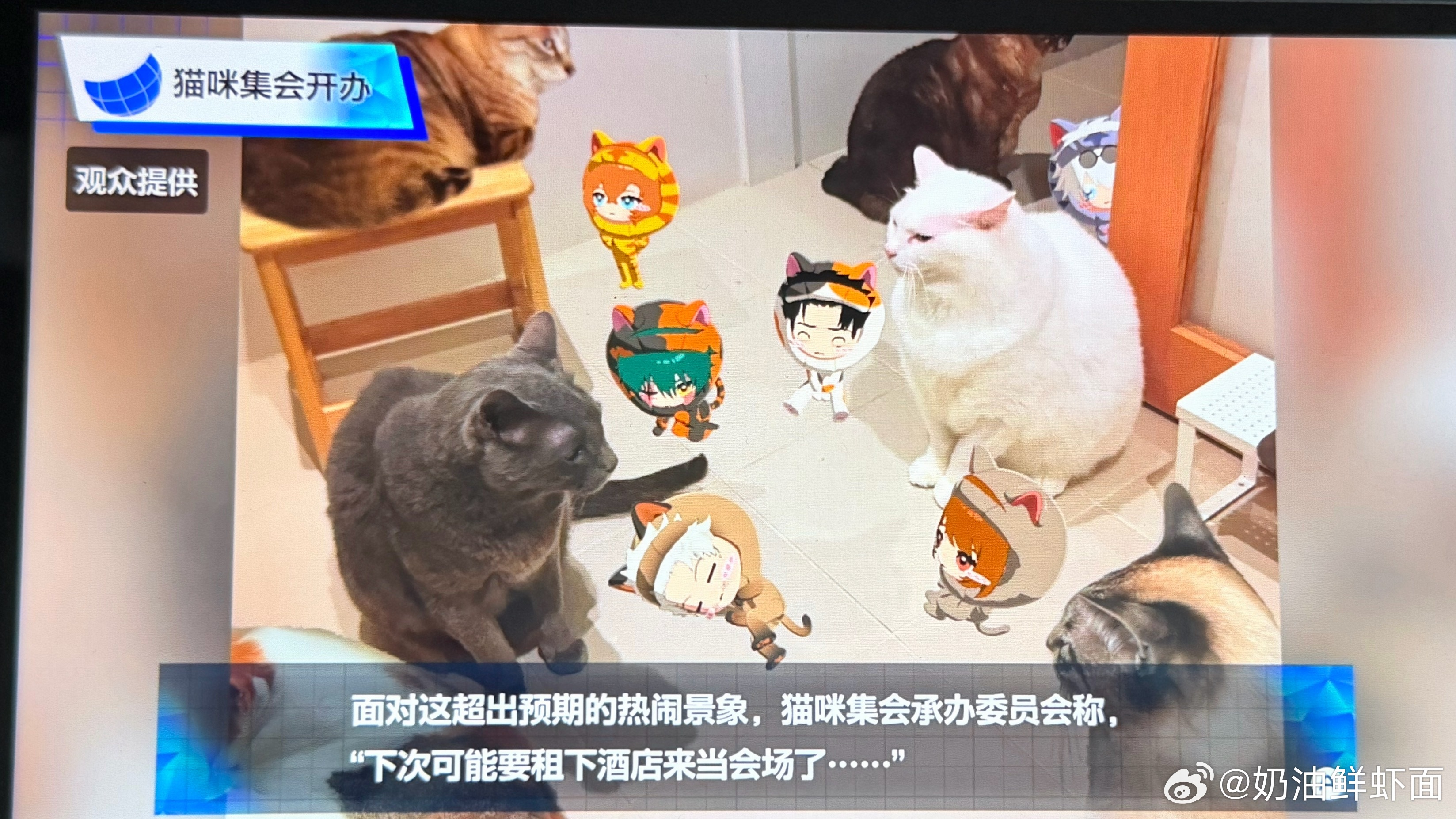这么萌萌 