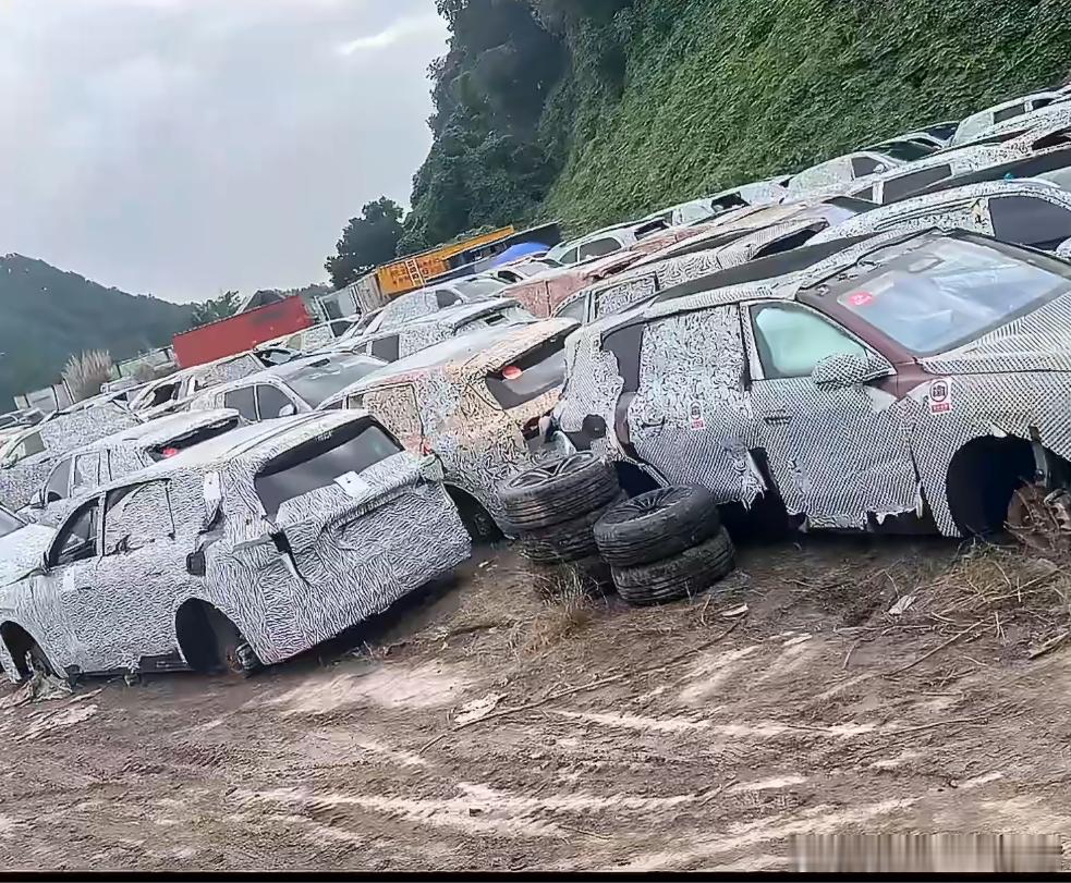 光一个轮胎测试都测试这么多测试车，你更别说其他的了。问界 789不是按辆，是按堆