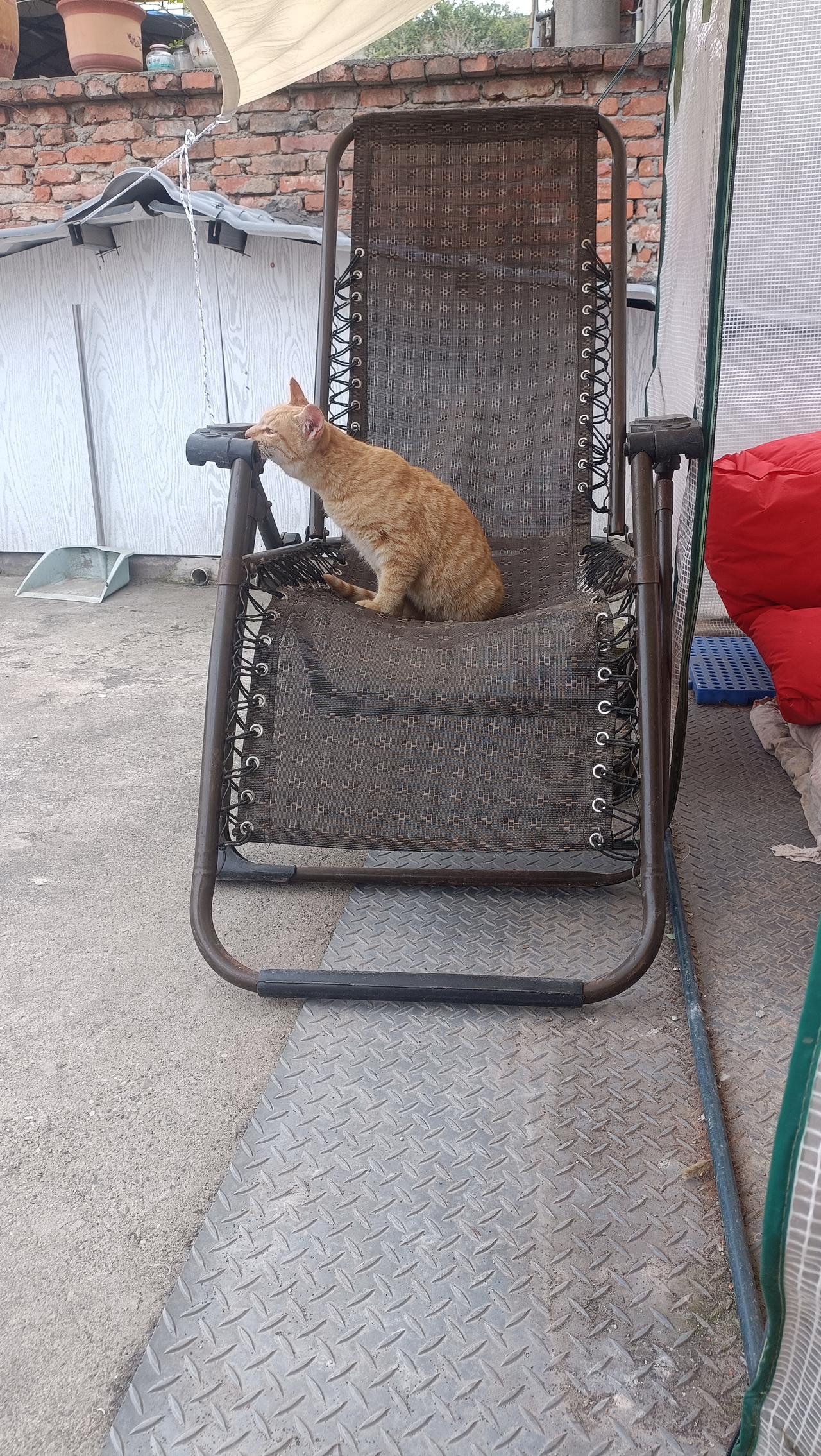 儿子下夜班，在垃圾桶旁边捡到一张被人丢弃的躺椅，欢天喜地的拿过来给我，让我放到平