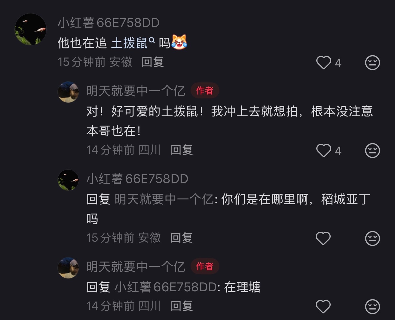 追土拨鼠.... ​​​