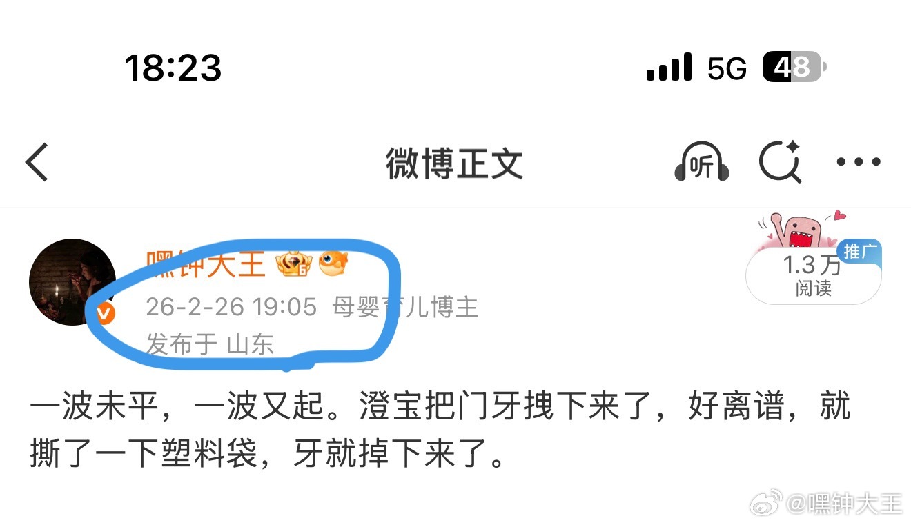 2月26号，澄宝把门牙磕掉了，去医院按了假牙。当时医生说假牙质保期是半年，半年内