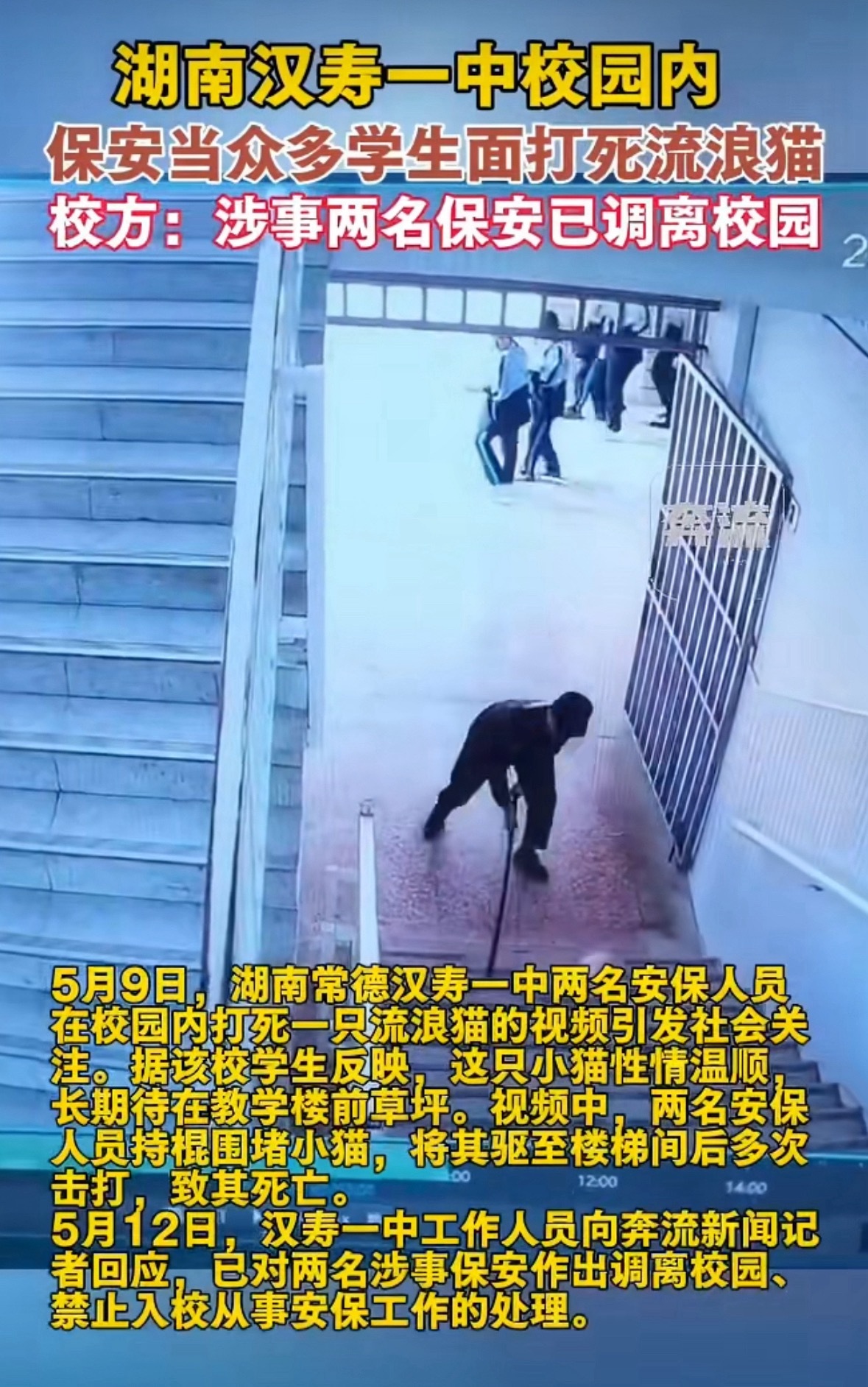 保安打死流浪猫学校公开致歉学校已对涉事人员进行严肃批评，并责成保安公司调离岗位。