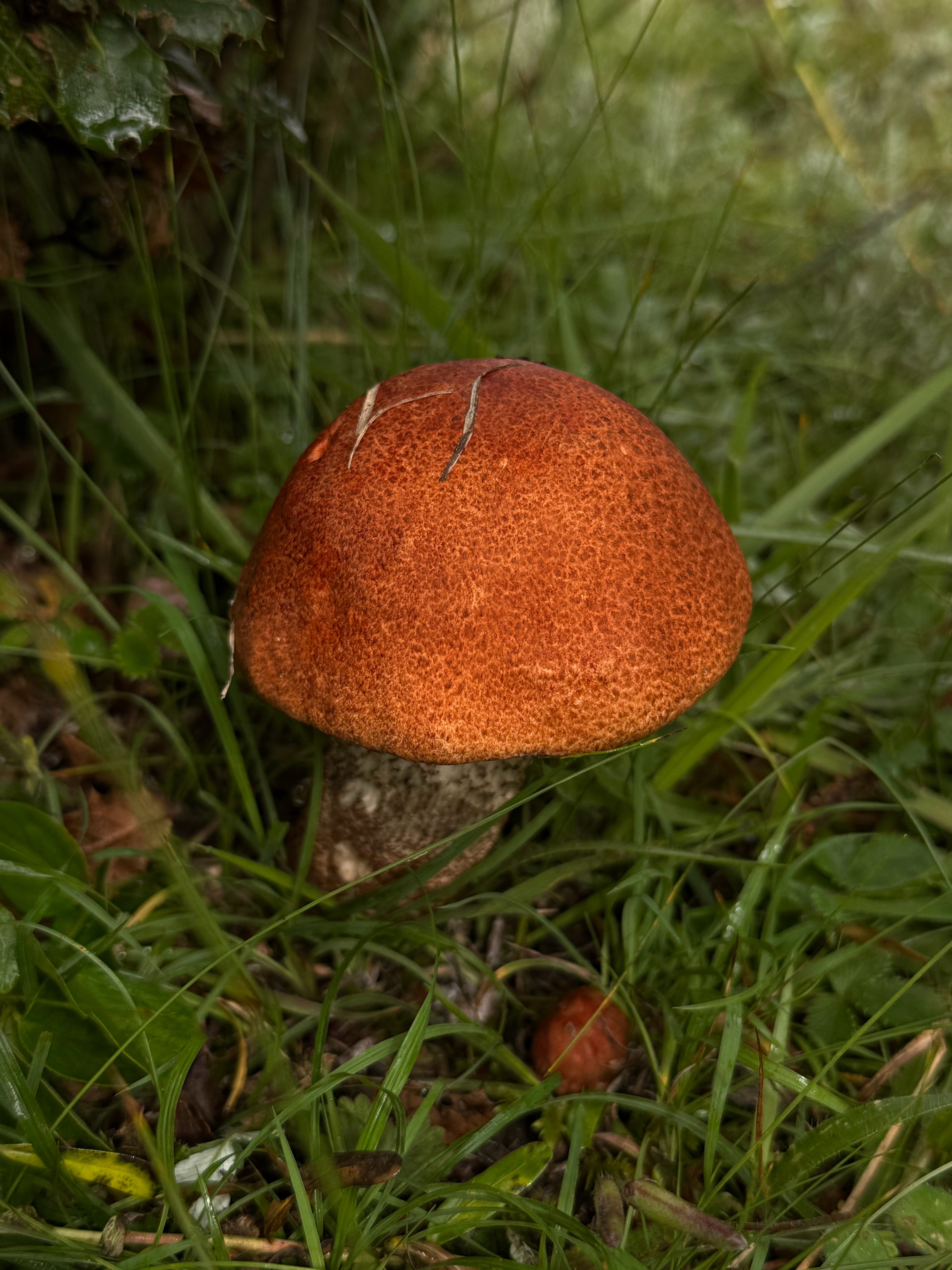 早晨🧡爱马仕大中华区前天打电话过来买照片，价钱没谈拢，我先挂的电话。 ​​​