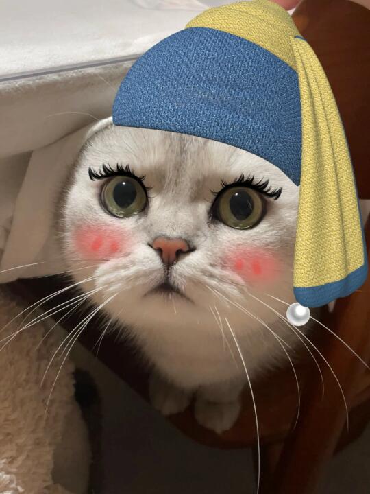 《戴珍珠耳环的少猫》